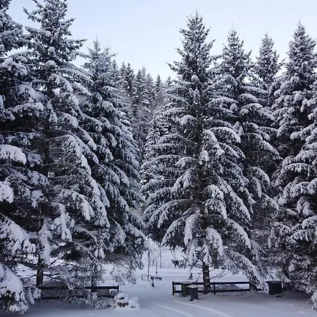 Am Kaltenbach - Spital Am Semmering, Stuhleck Spital am Semmering